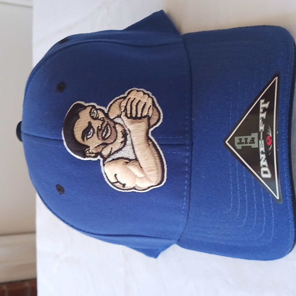Hat Cap Novelty vintage